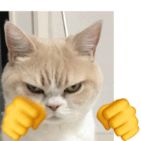 猫猫飞拳表情包图片